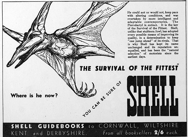 Pteropdactyl June 1935